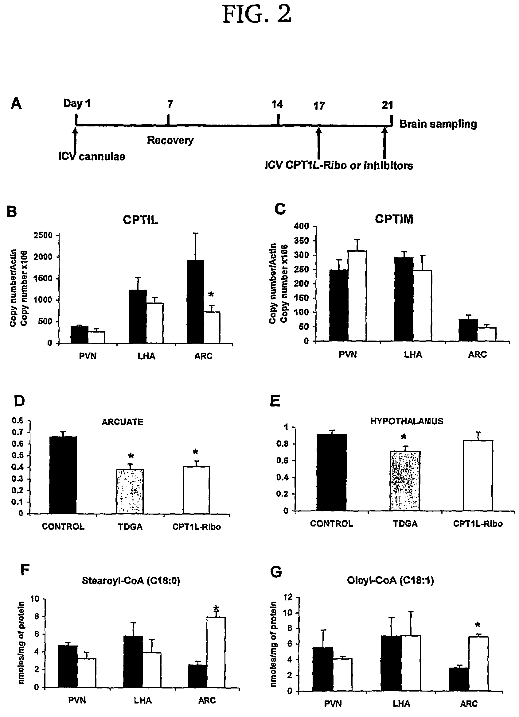 Regulation of food intake by modulation of long-chain fatty acyl-CoA levels in the hypothalamus