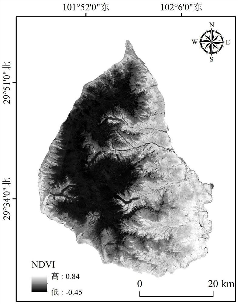 High mountain forest line extraction method based on Otsu and edge detection algorithm of GEE