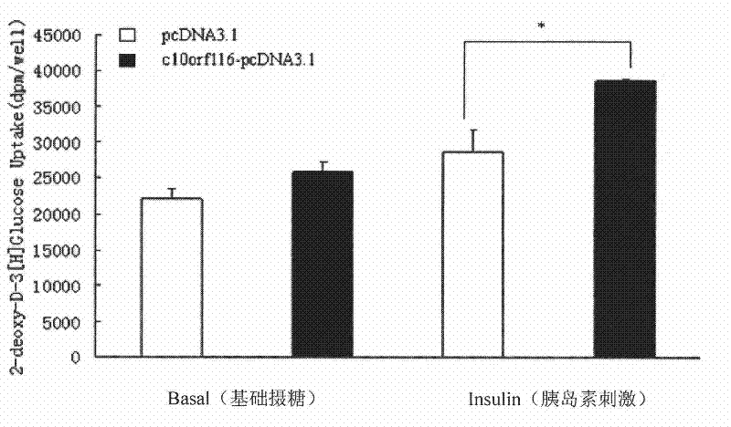 Application of C10orf116 genes in preparing medicament for improving insulin sensitivity of adipose tissue