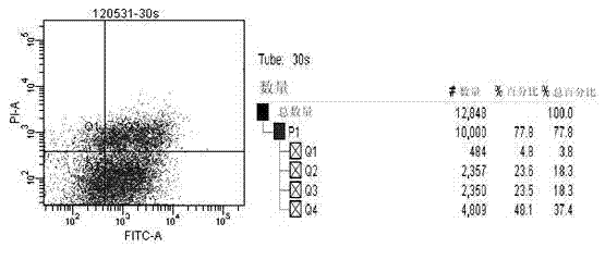 Recombinant fusion protein PTD-HSP27 and use thereof