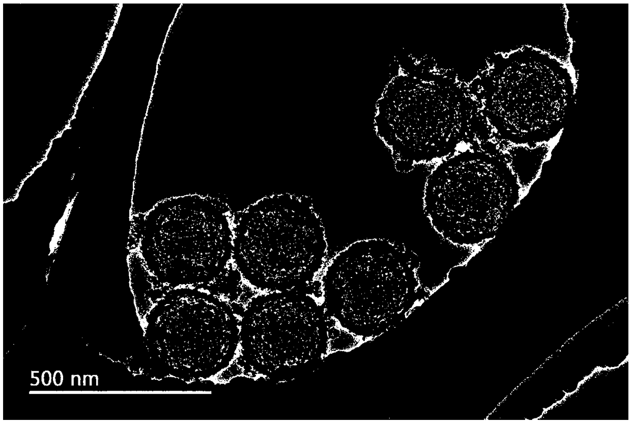 Hollow Fe/N/C fuel cell oxygen reduction catalyst derived from MOFs (Metal Organic Frameworks), and preparation method thereof