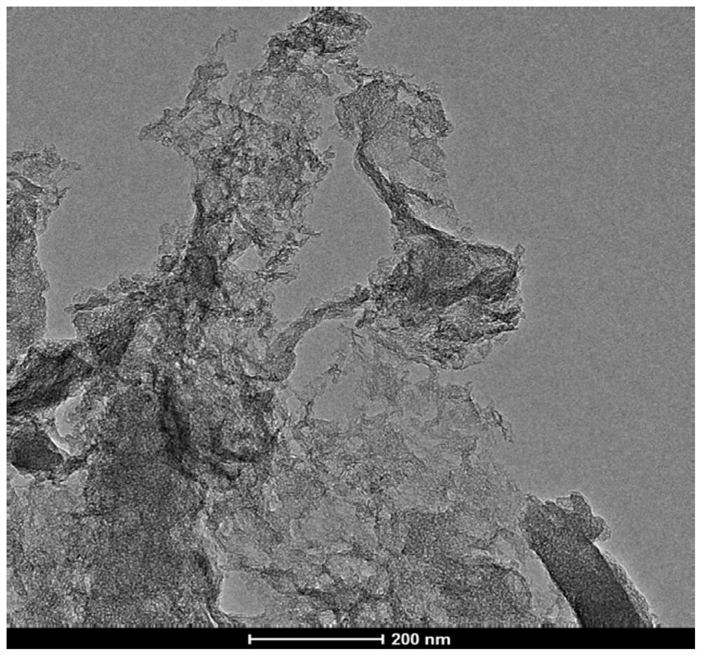 Preparation method of leaf-based nitrogen-doped porous carbon, and application of leaf-based nitrogen-doped porous carbon in oxygen reduction electro-catalysis within full pH range