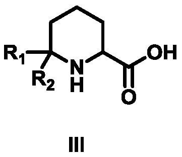 Synthesis method of 6,6-dialkyl piperidine-2-carboxylic acid compound