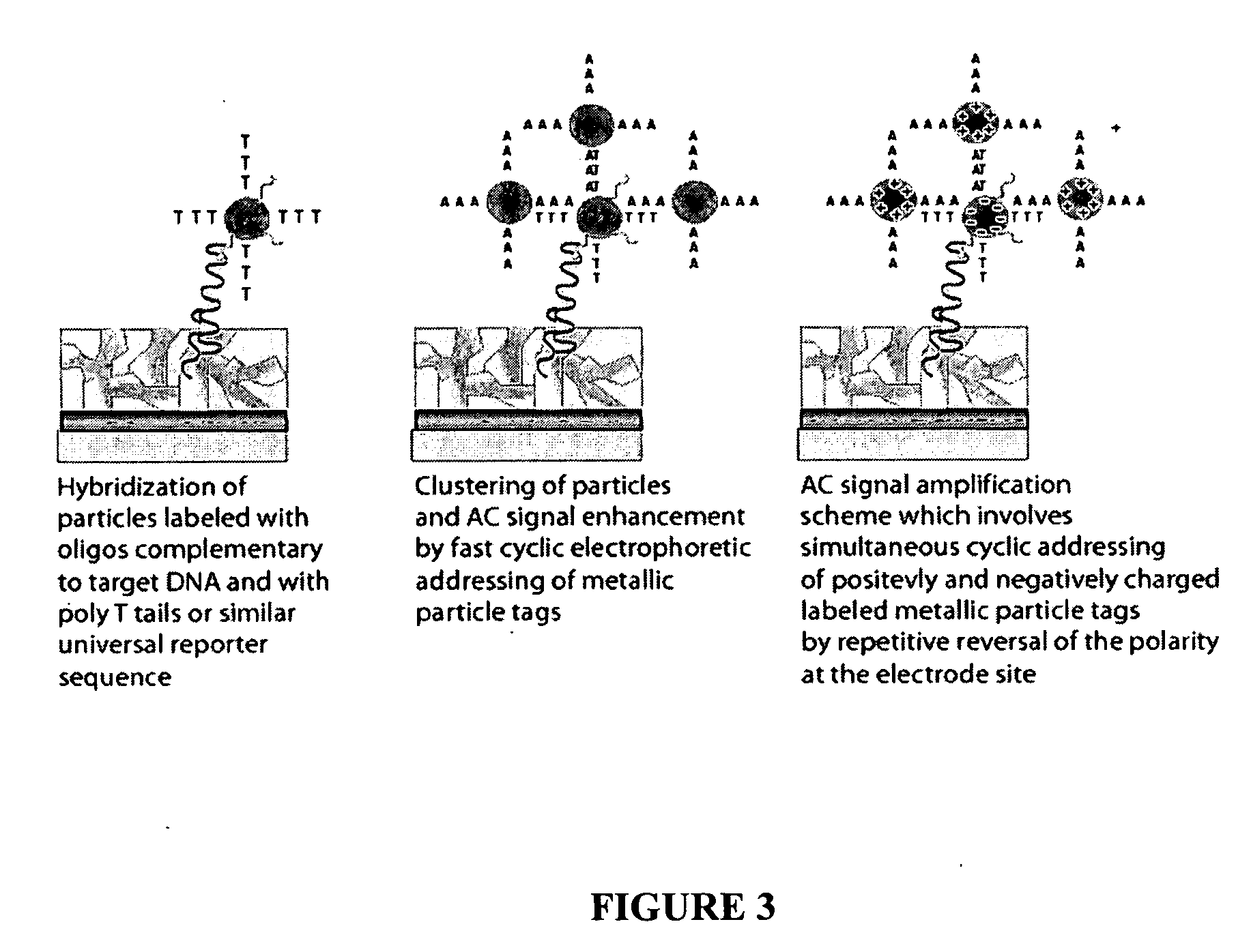 Nanoscale electronic detection system and methods for their manufacture