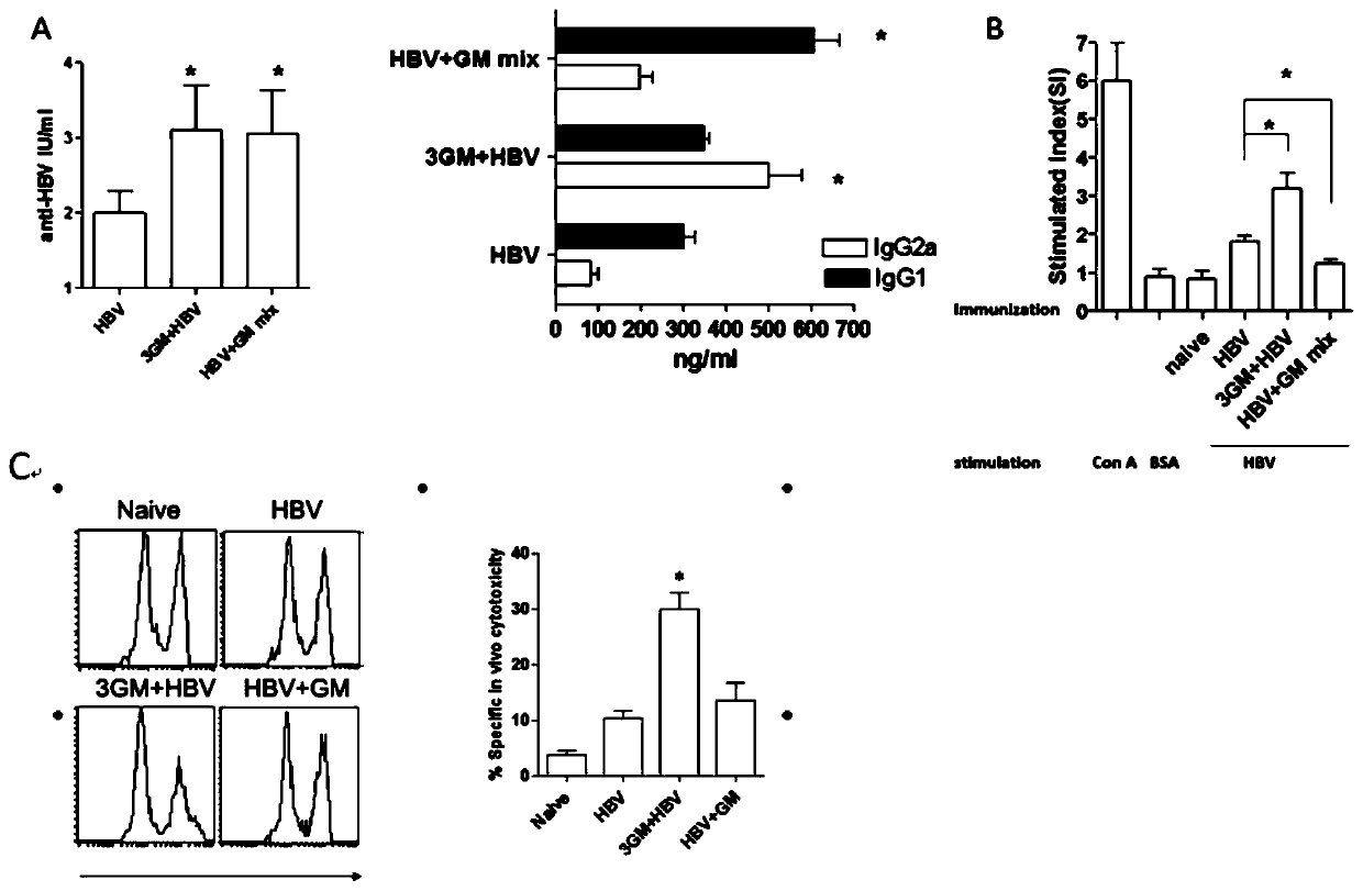 Application of virus immunotherapy drug compound in preparation of drugs for treating HBV infection
