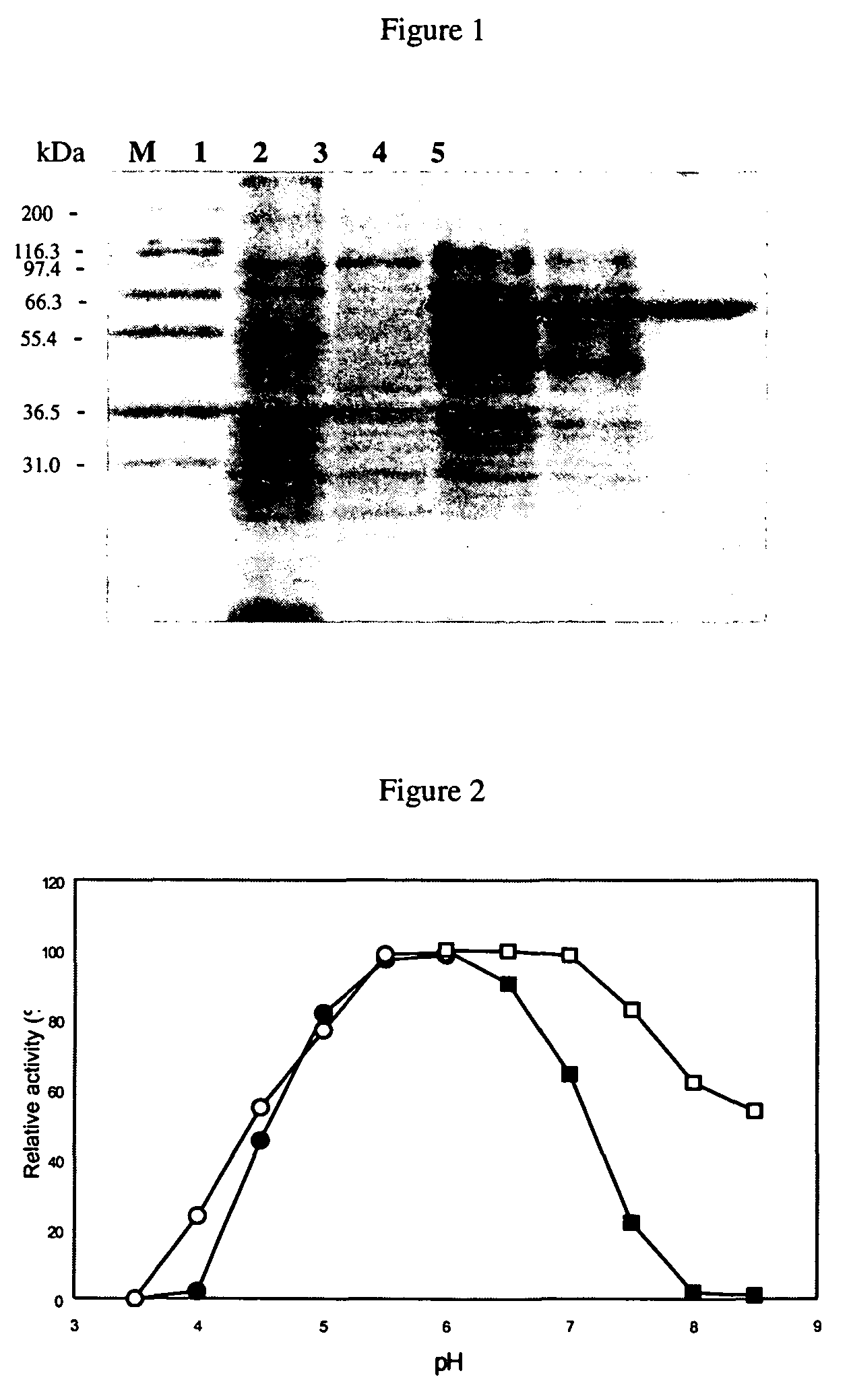 Composition containing trehalose synthase and methods of use thereof