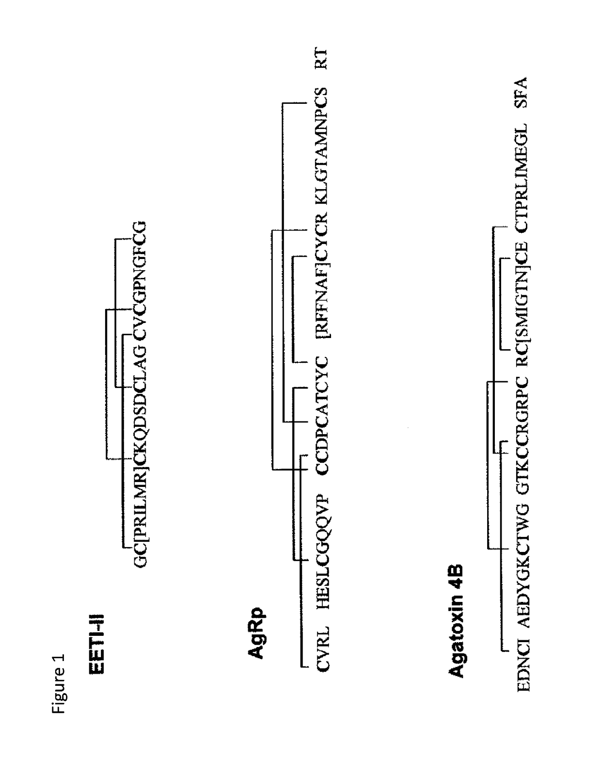 Synergistic tumor treatment with il-2 and integrin-binding-fc-fusion protein