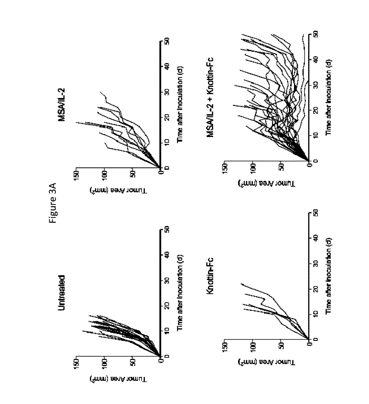 Synergistic tumor treatment with il-2 and integrin-binding-fc-fusion protein