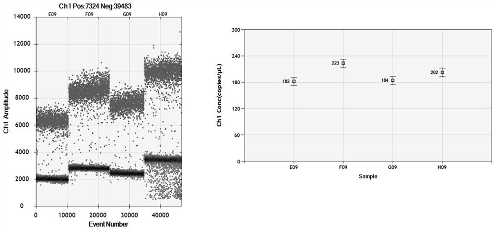 Composition for detecting mycoplasma gallisepticum through microdroplet type digital PCR (Polymerase Chain Reaction) and application of composition