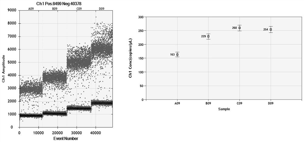 Composition for detecting mycoplasma gallisepticum through microdroplet type digital PCR (Polymerase Chain Reaction) and application of composition