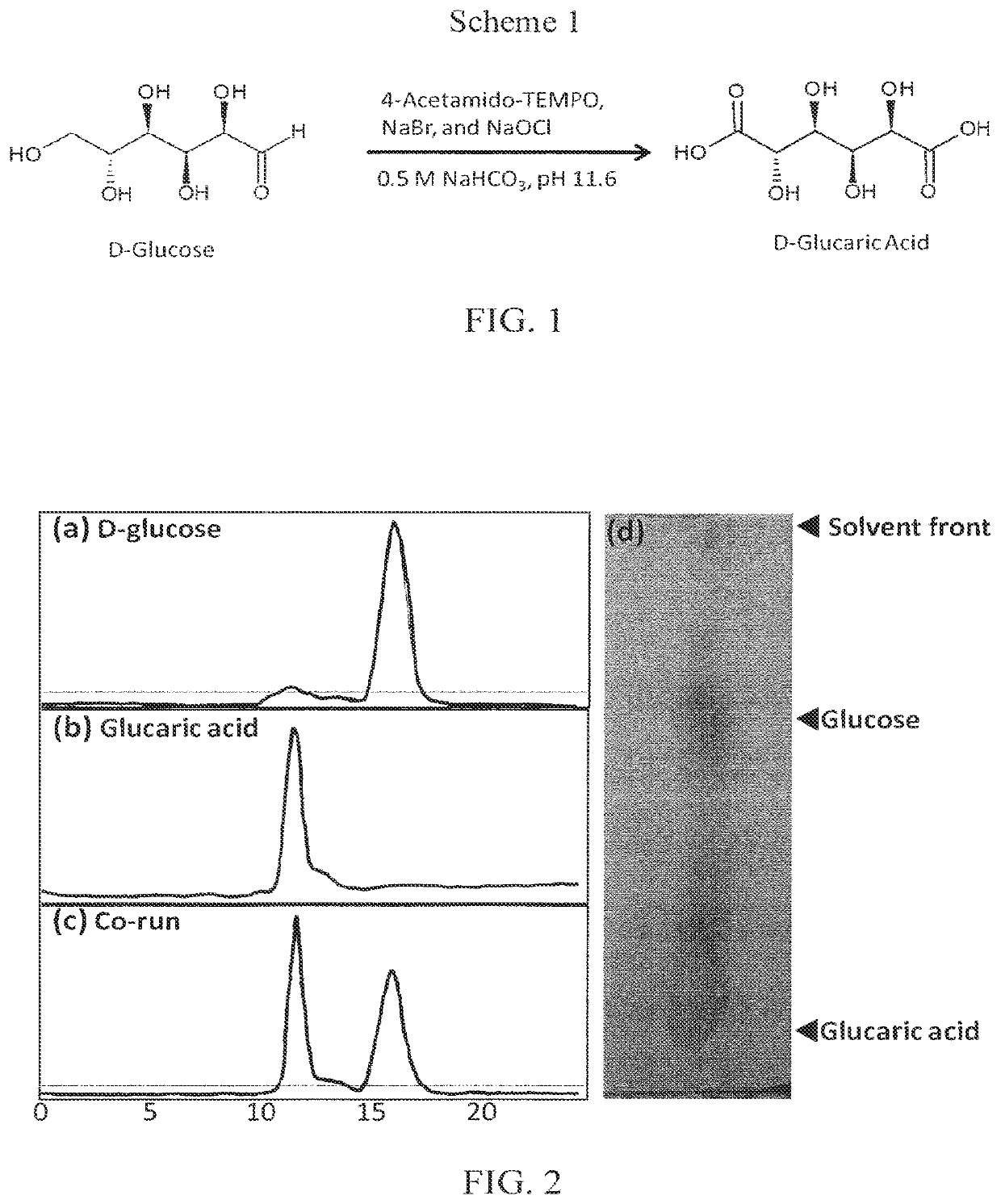Imaging agents and methods of use