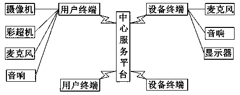 Remote video auxiliary diagnosis device