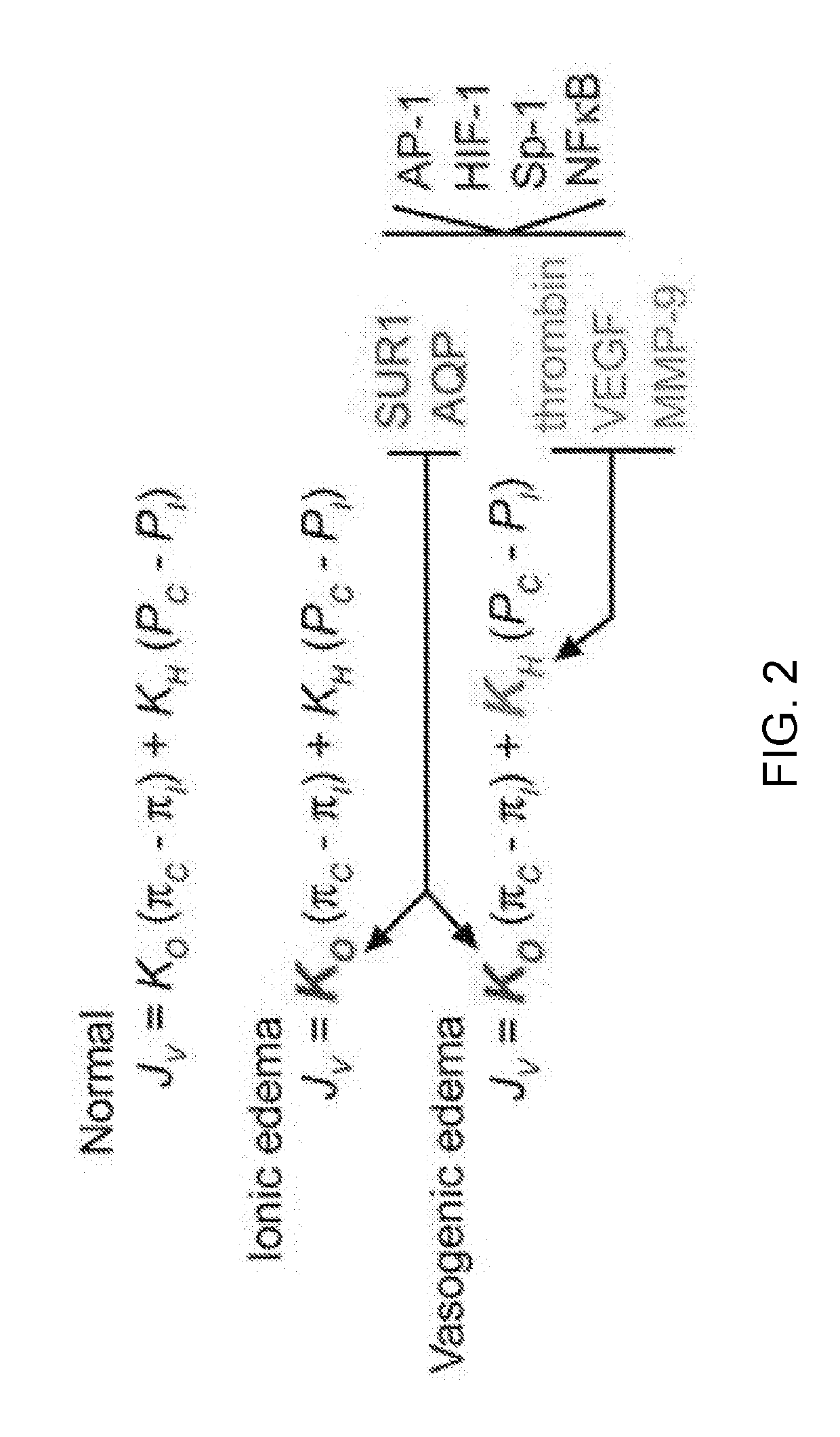 Methods for antagonists of a non-selective cation channel in neural cells