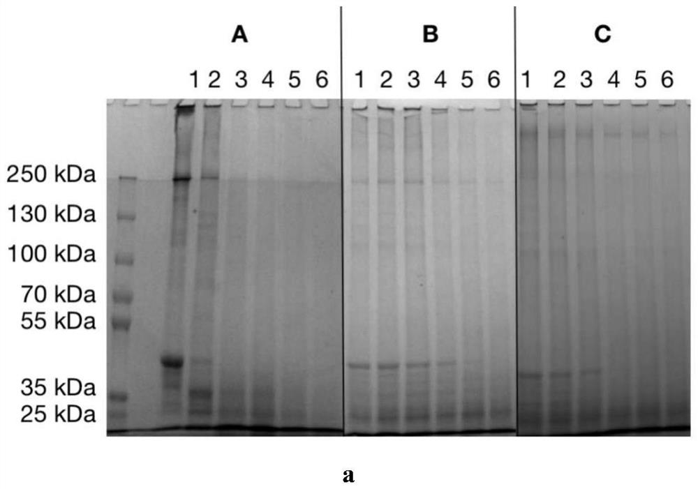 Method for simulating dynamic digestion of gel food based on artificial gastrointestinal system