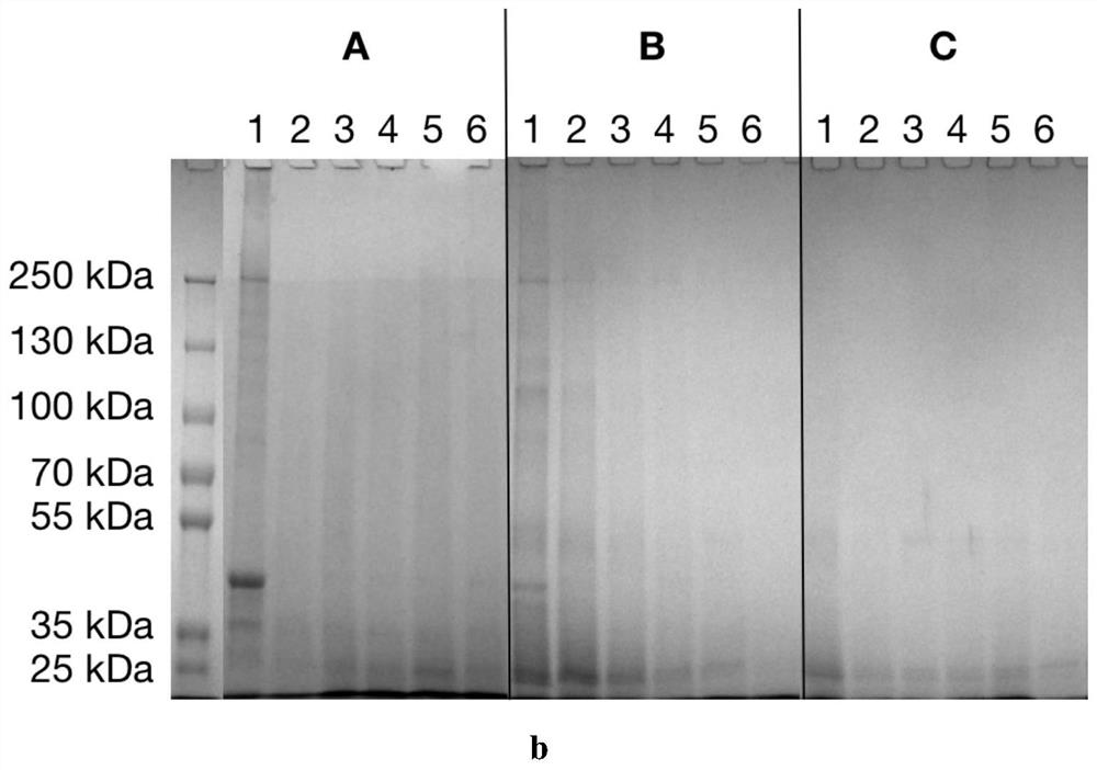 Method for simulating dynamic digestion of gel food based on artificial gastrointestinal system