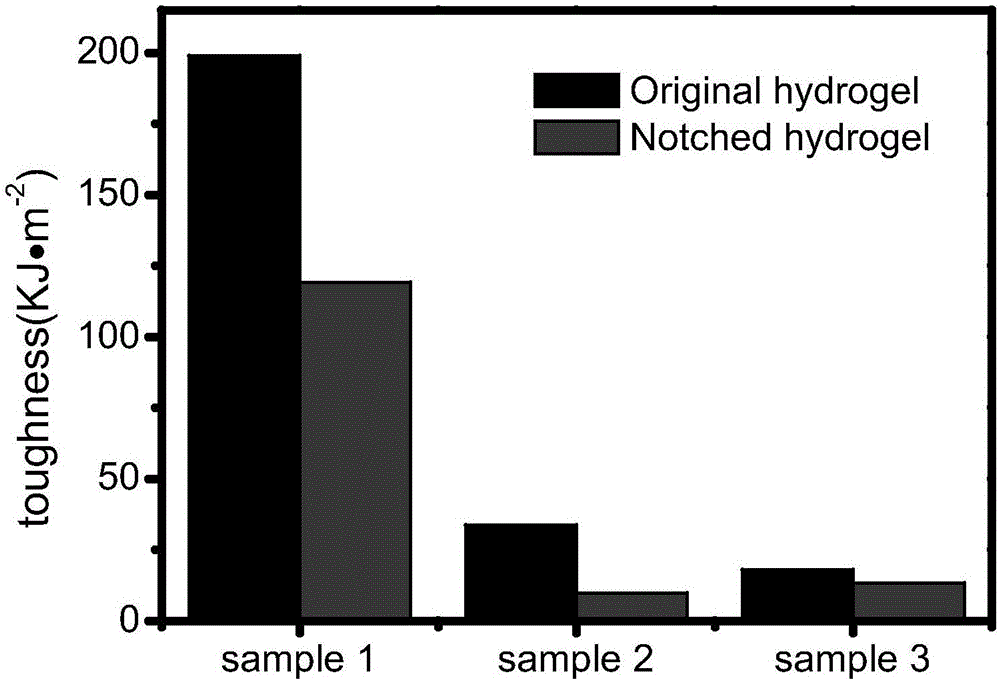 Preparation method of anti-notch-sensitivity graphene-type nano composite aquagel
