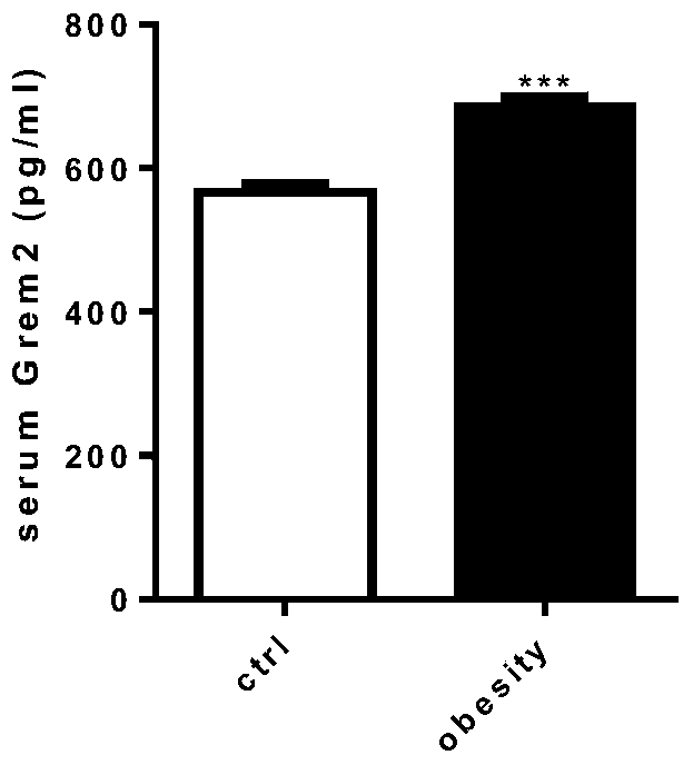 Adipokine grem2 as a drug target in the treatment of obesity