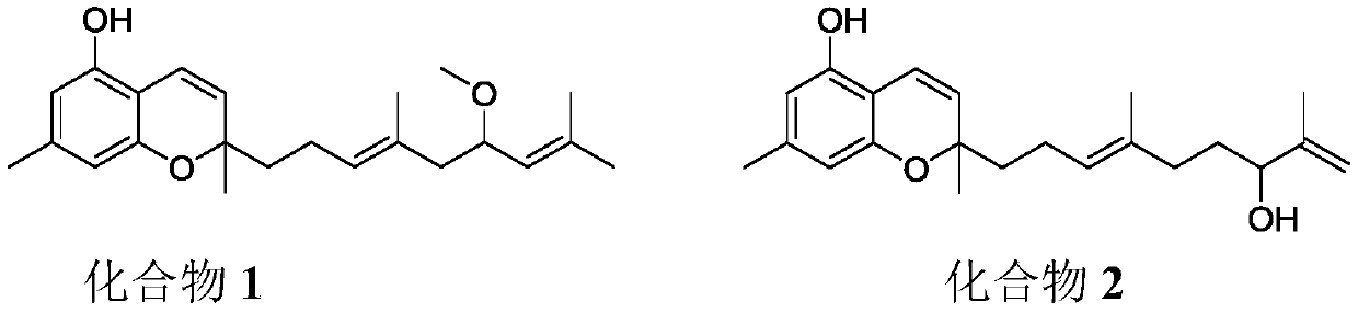 Benzopyran compounds with anti-complement activity and application of benzopyran compounds