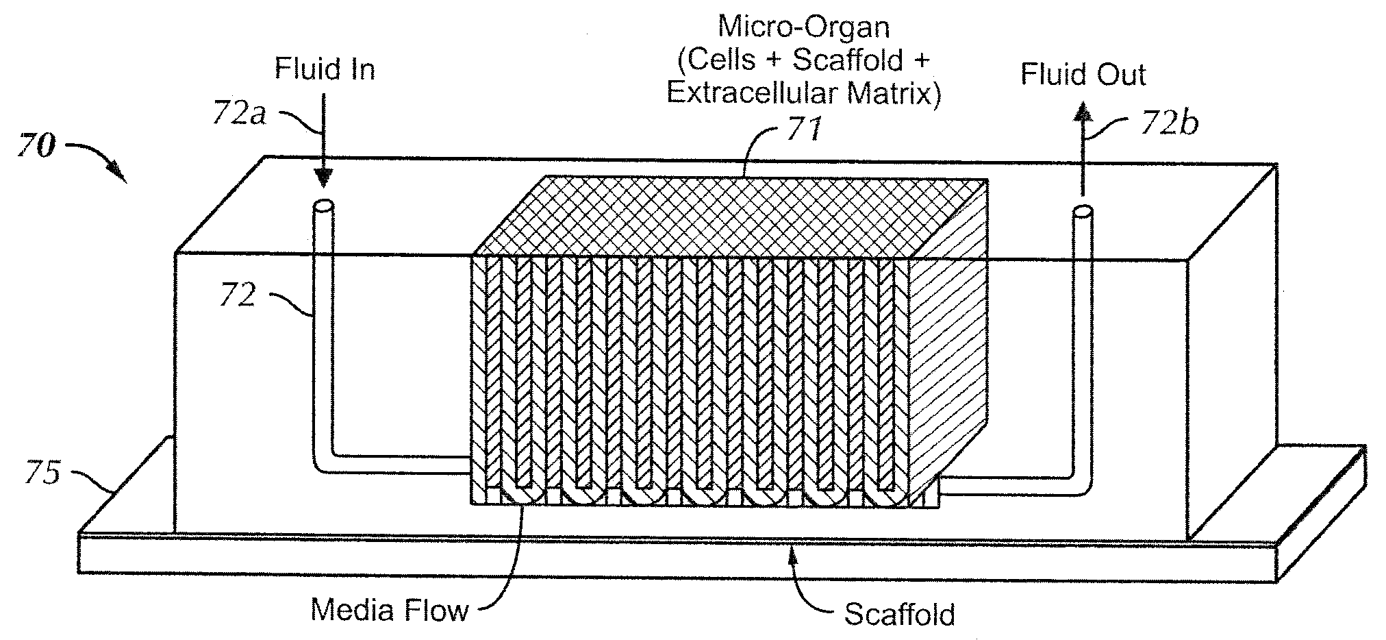 Micro-Organ Device