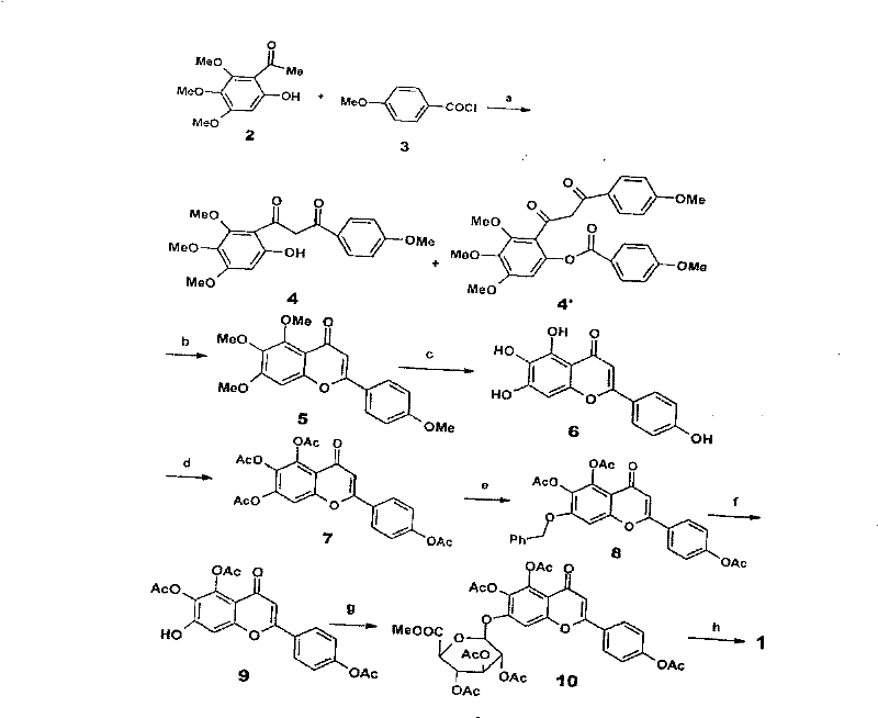 Method for synthesizing 5,6,4'-trihydroxyflavone-7-O-D-glucuronic acid