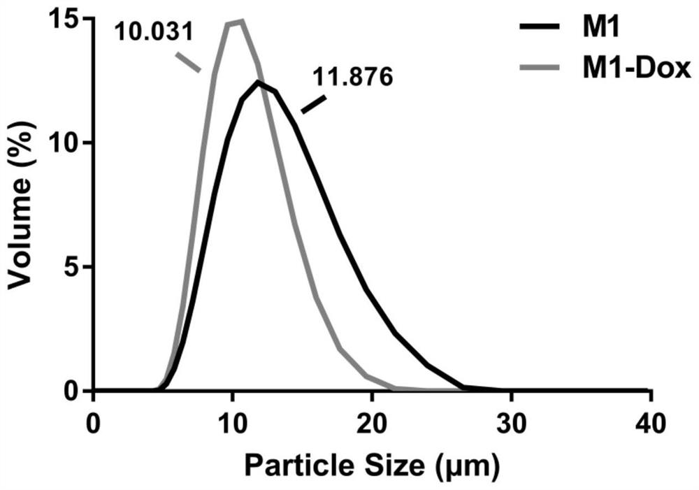 Macrophage drug-loaded preparation and preparation method thereof