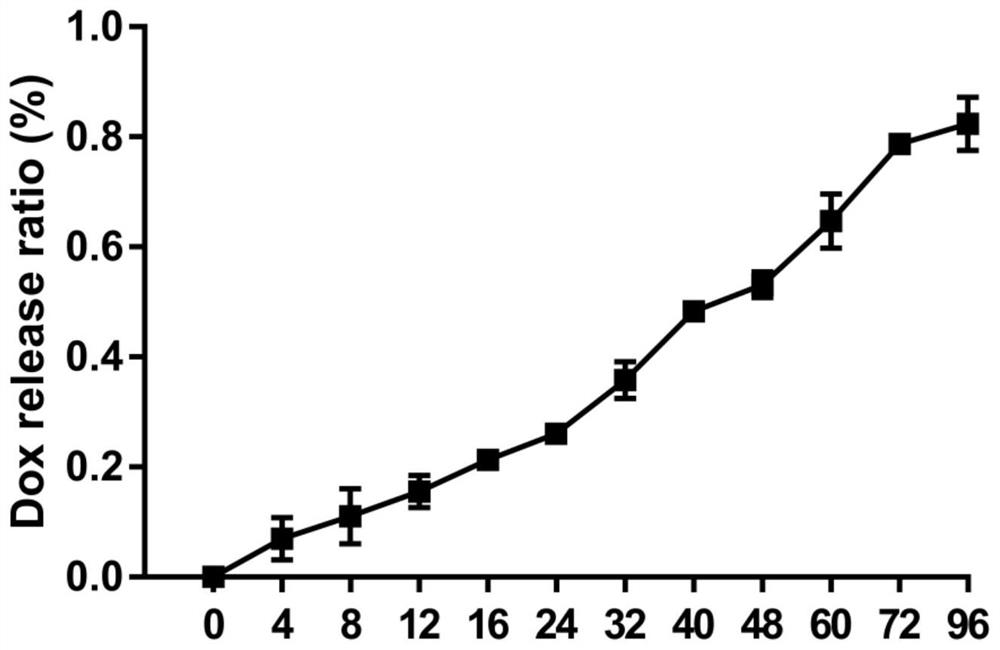 Macrophage drug-loaded preparation and preparation method thereof