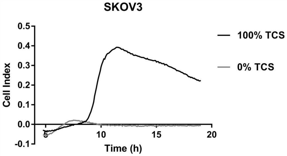 Macrophage drug-loaded preparation and preparation method thereof