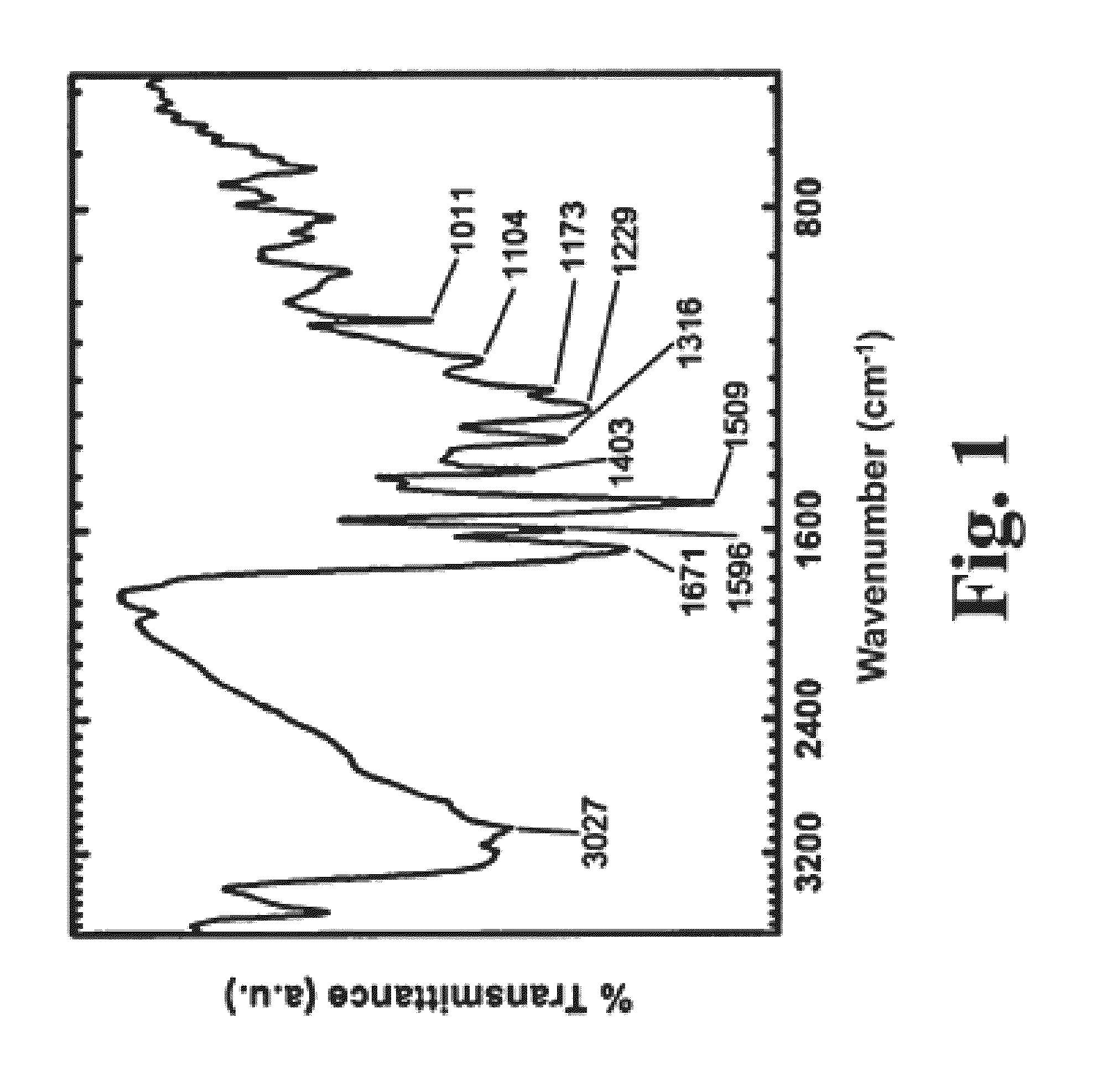 Multifunctional porous aramids (aerogels), fabrication thereof, and catalytic compositions derived therefrom