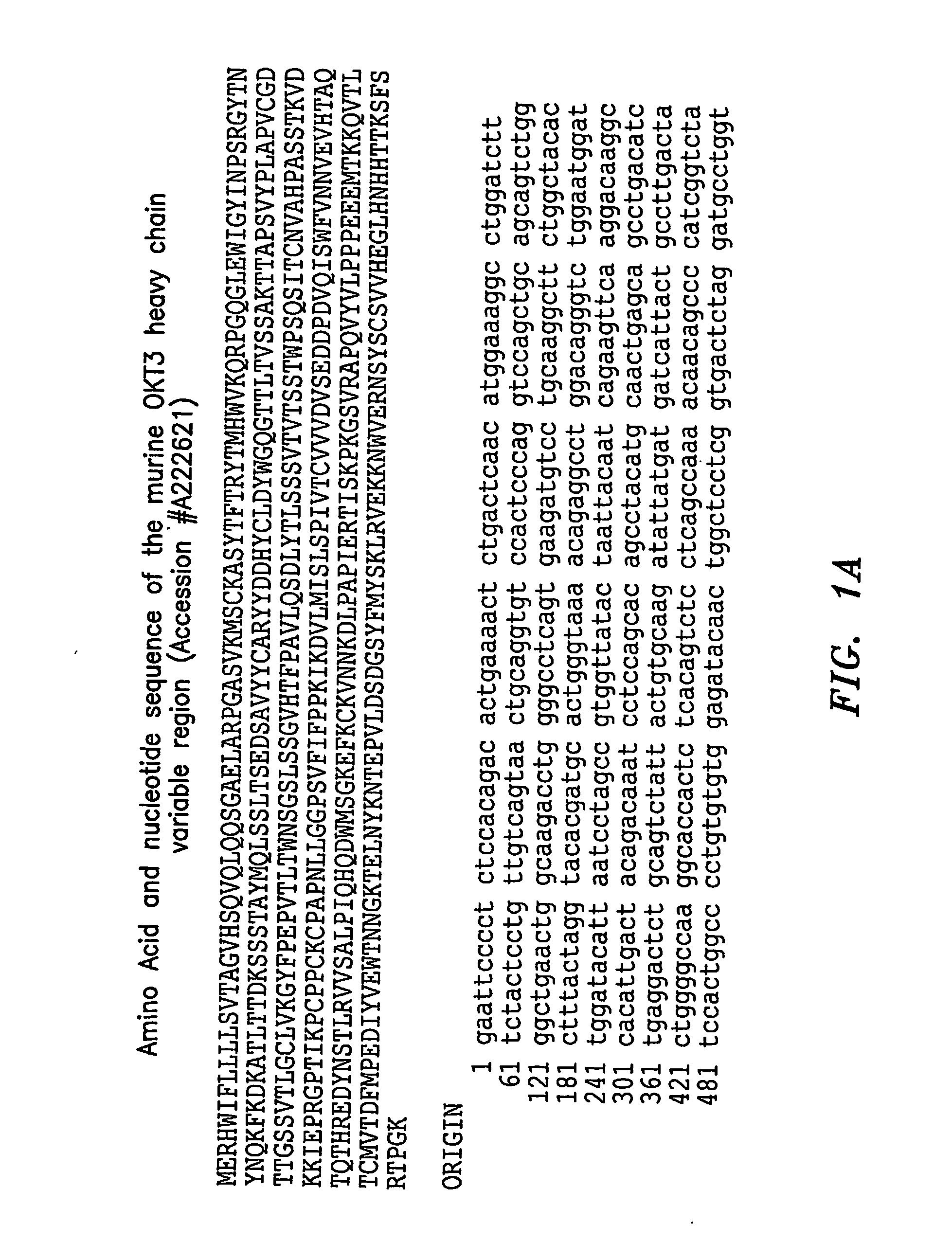 De-Immunized Anti-Cd3 Antibody