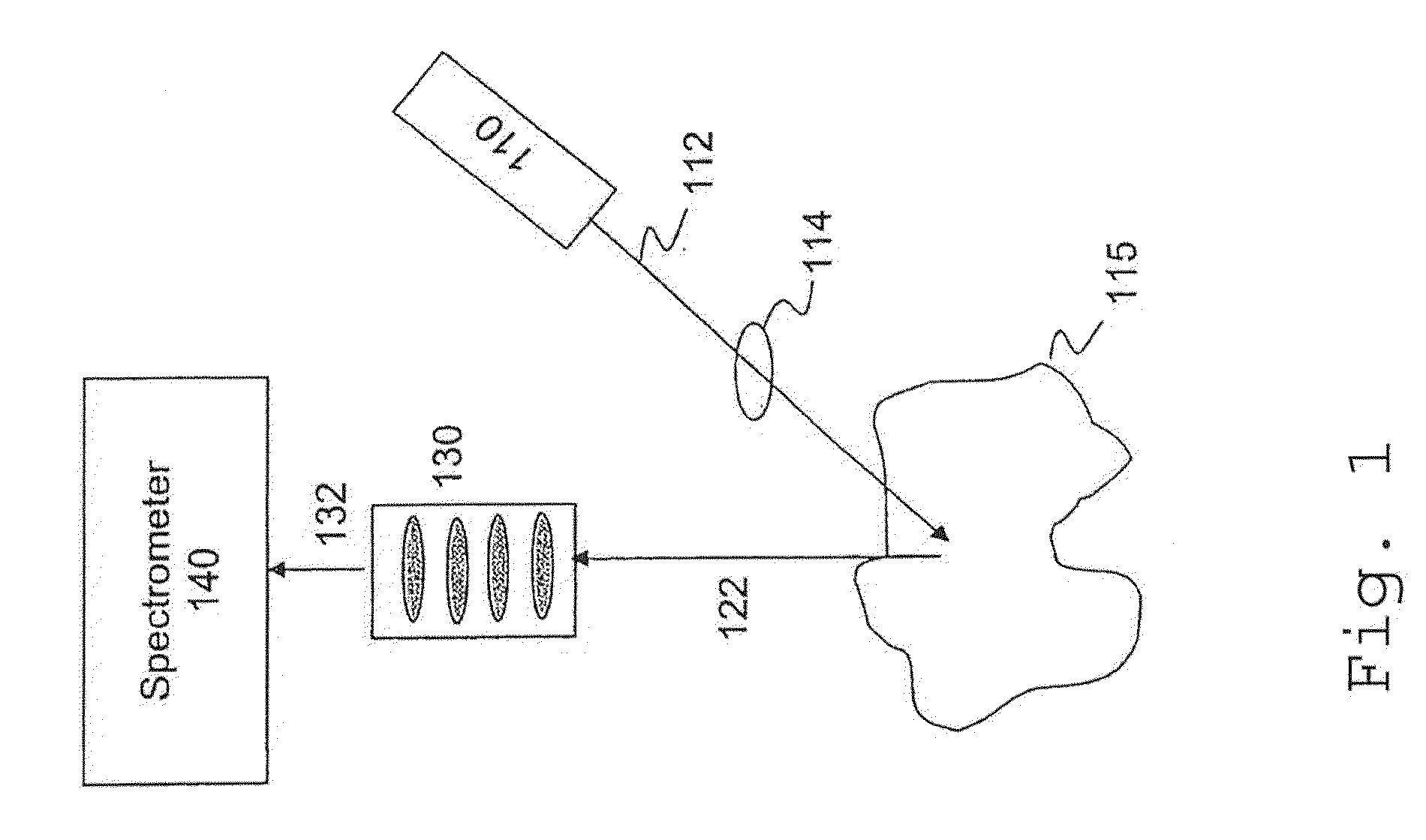System and Method for Combined Raman and LIBS Detection