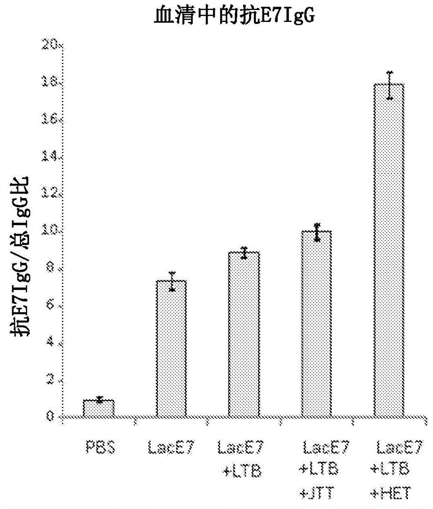 Mucosal immunity-stimulating agent, and oral pharmaceutical composition for treating hpv infection