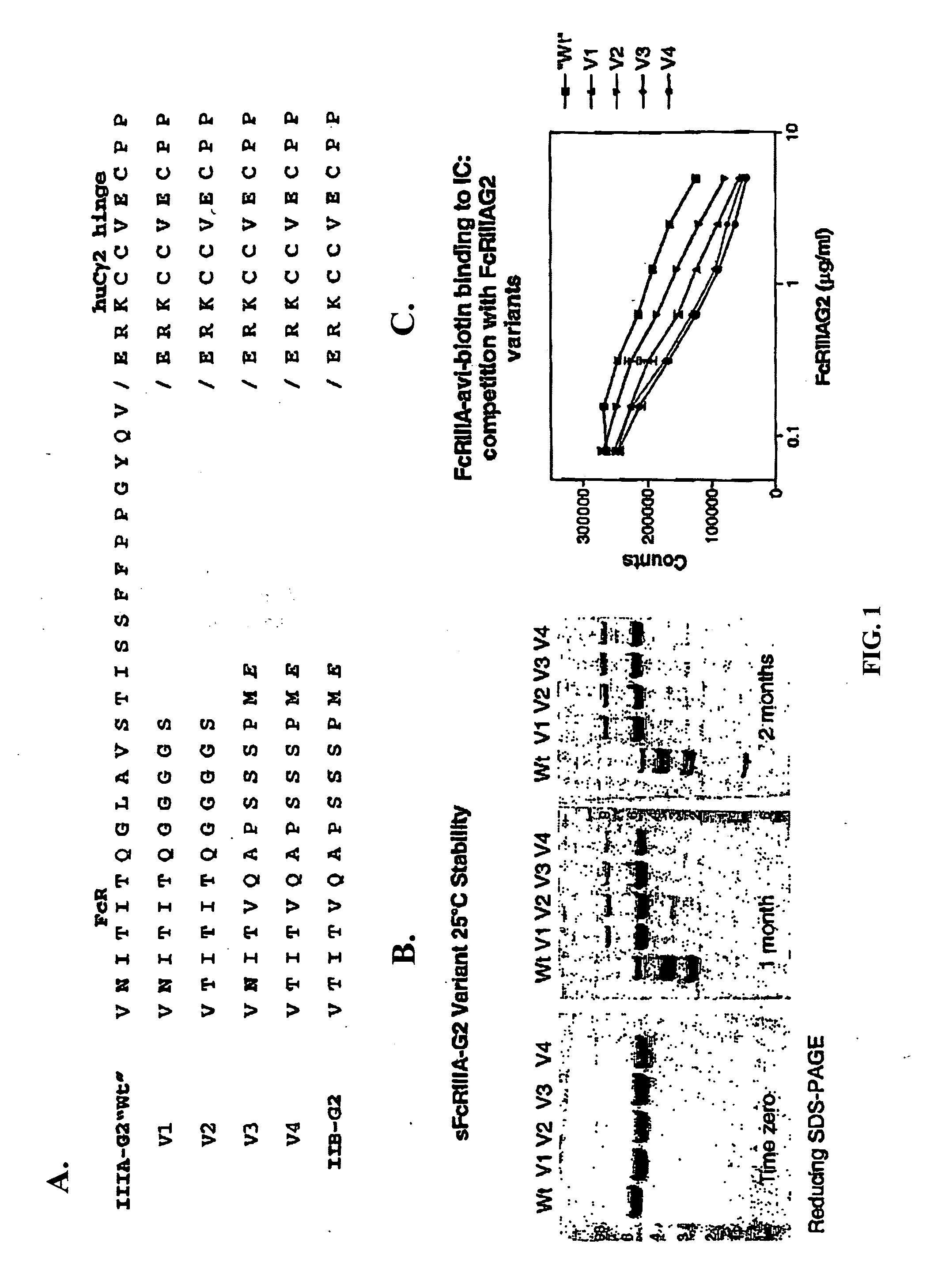 Soluble FcgammaR fusion protiens and methods of use thereof