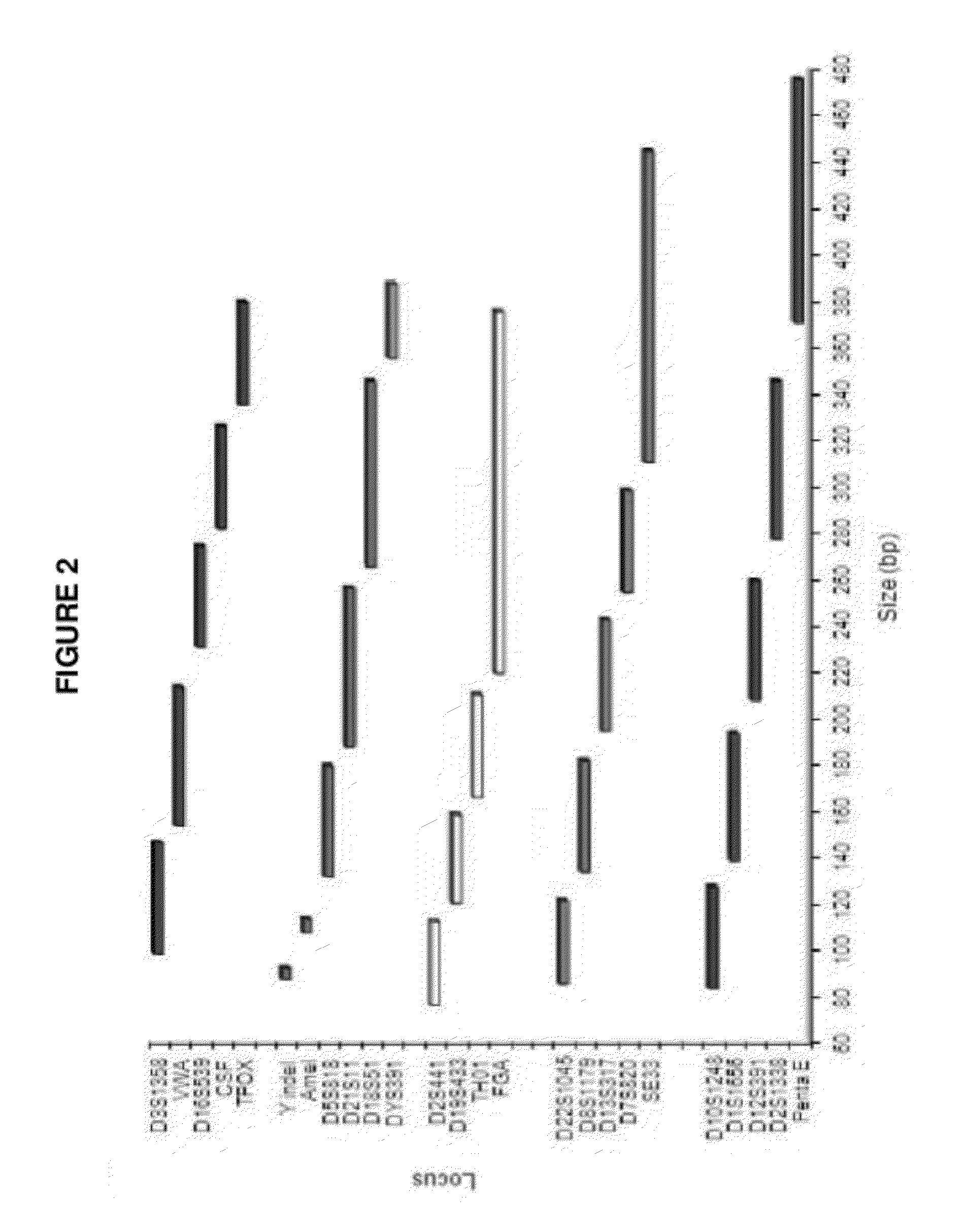 Methods and kits for multiplex amplification of short tandem repeat loci