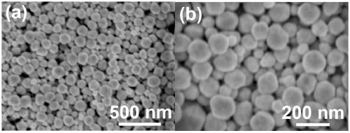 Thin film assembled by gold nanoparticles and its preparation method and use