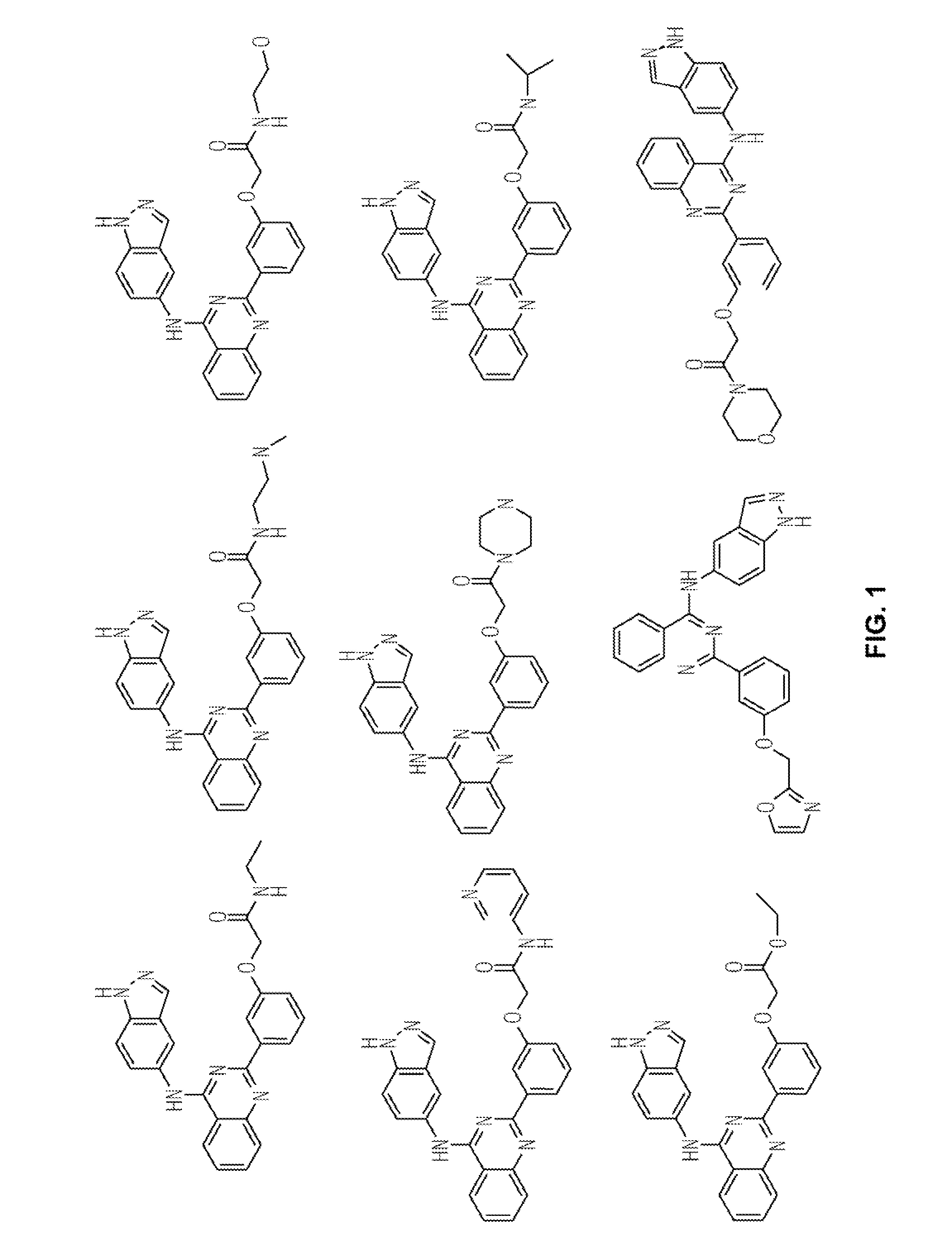 Rho kinase inhibitors