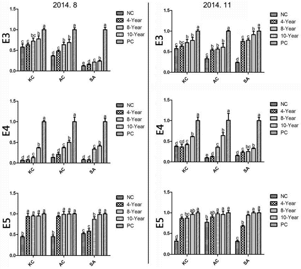 Method for evaluating health condition and human-induced restoration effect of mangrove forest and application thereof