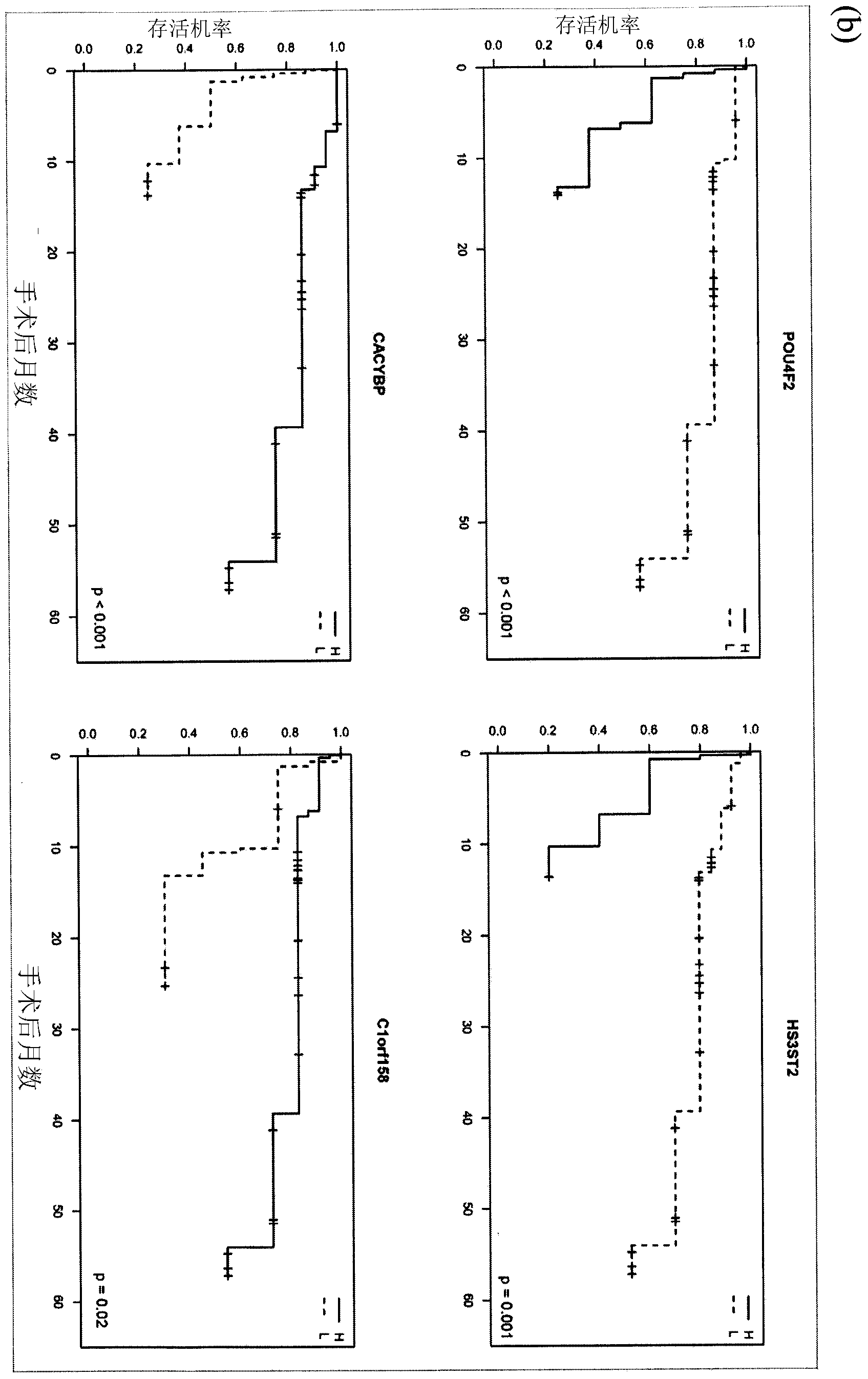 Gene biomarkers for prediction of susceptibility of ovarian neoplasms and/or prognosis or malignancy of ovarian cancers