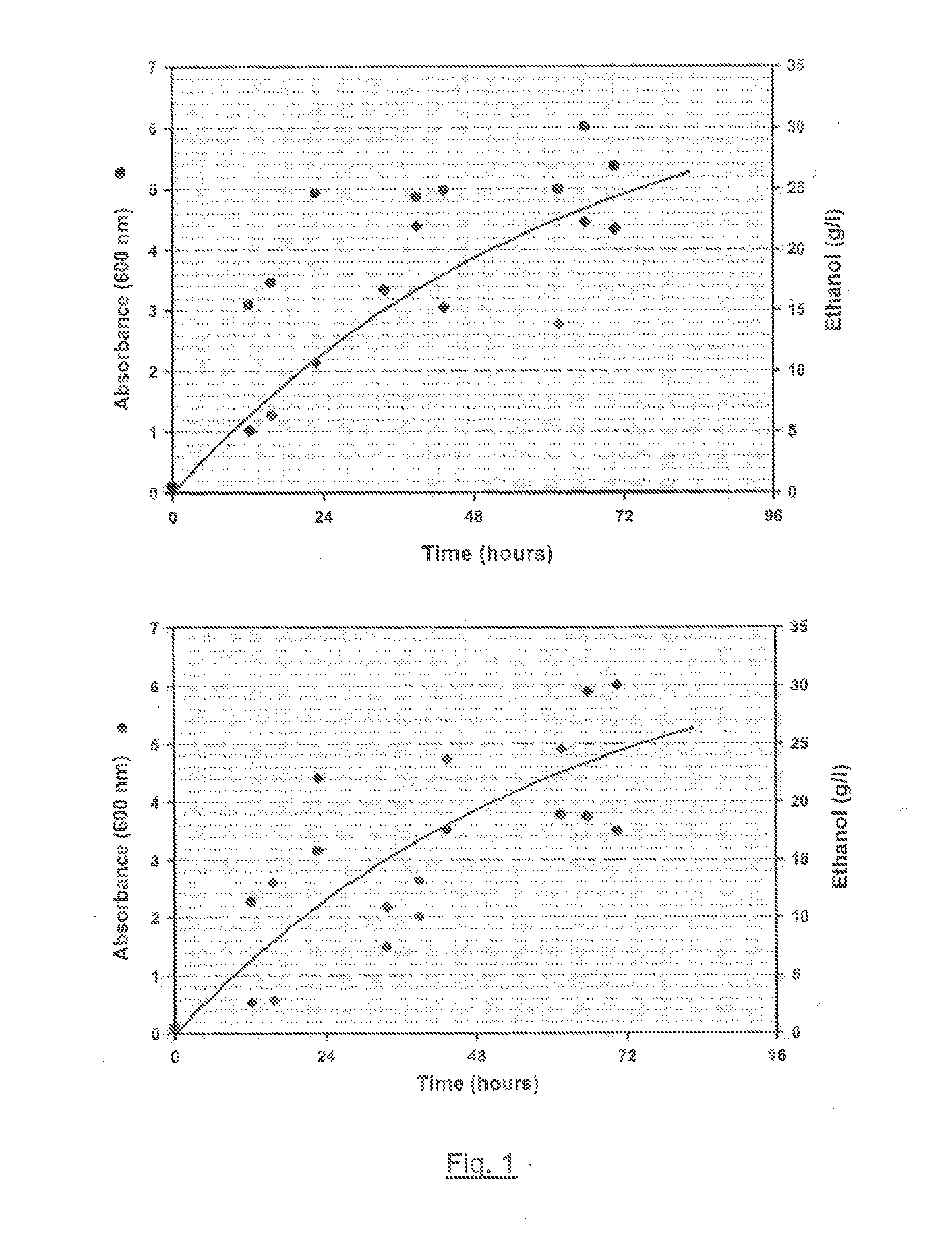 Kluyveromyces lactis yeast strain and methods for the production of sugars, ethanol, beta-galactosidase and biomass