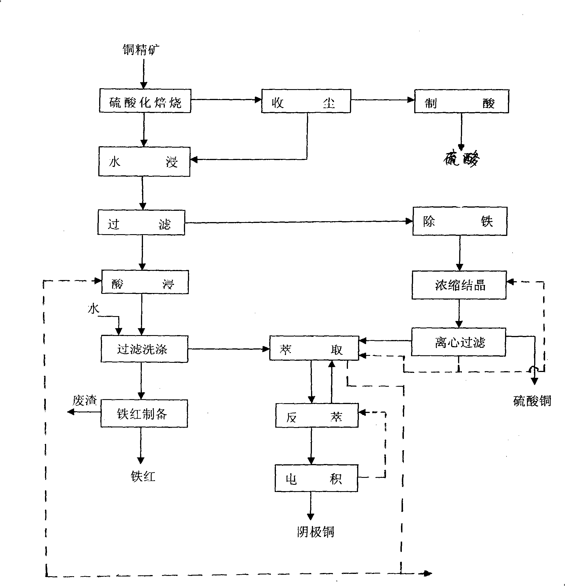 Method for directly preparing copper sulfate and cathode copper from copper ore concentrate