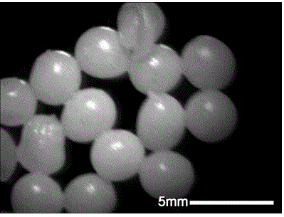 Polyurethane modified calcium alginate gel microballoon and preparation method thereof