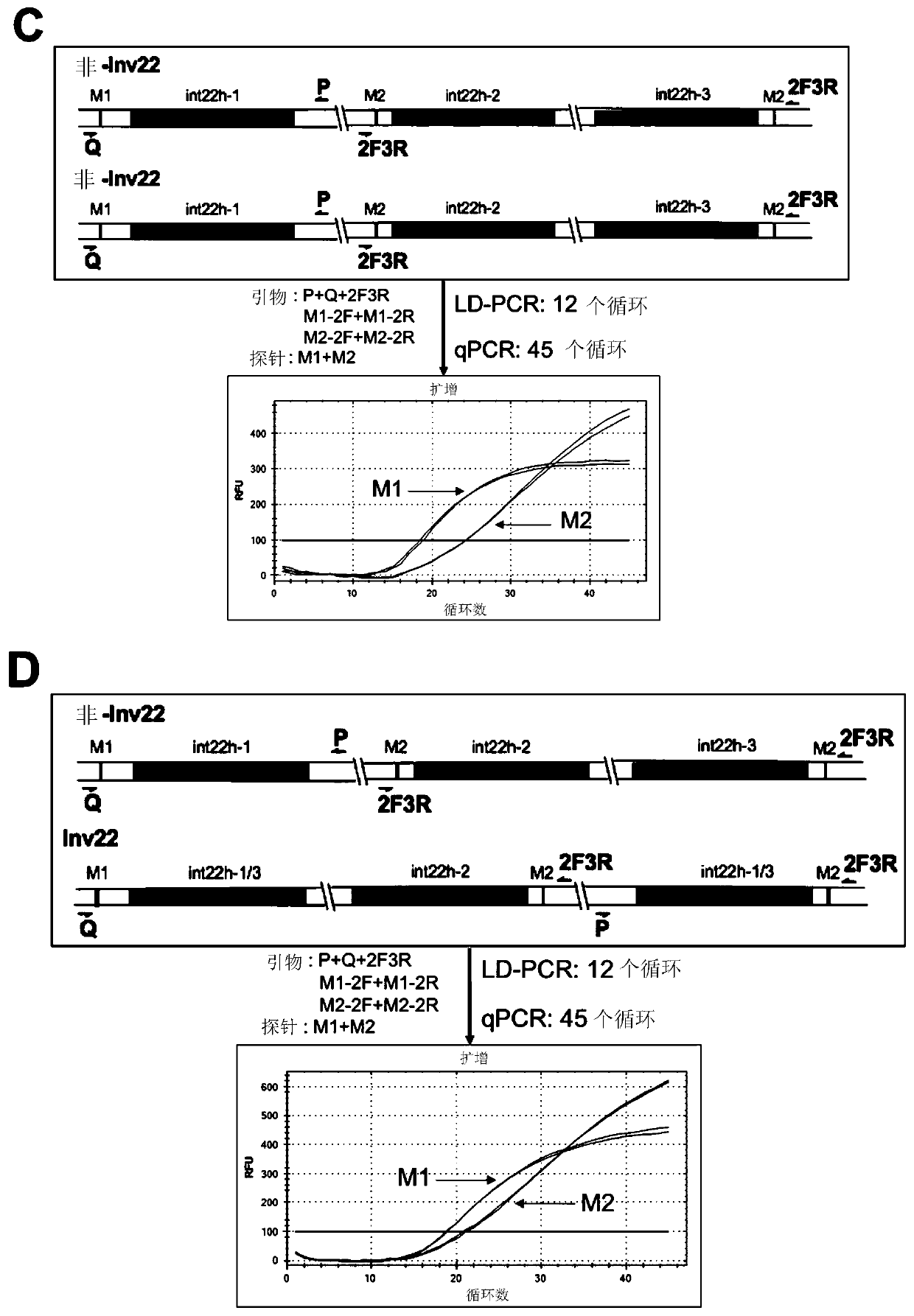 Method and kit for detecting chromosome rearrangement