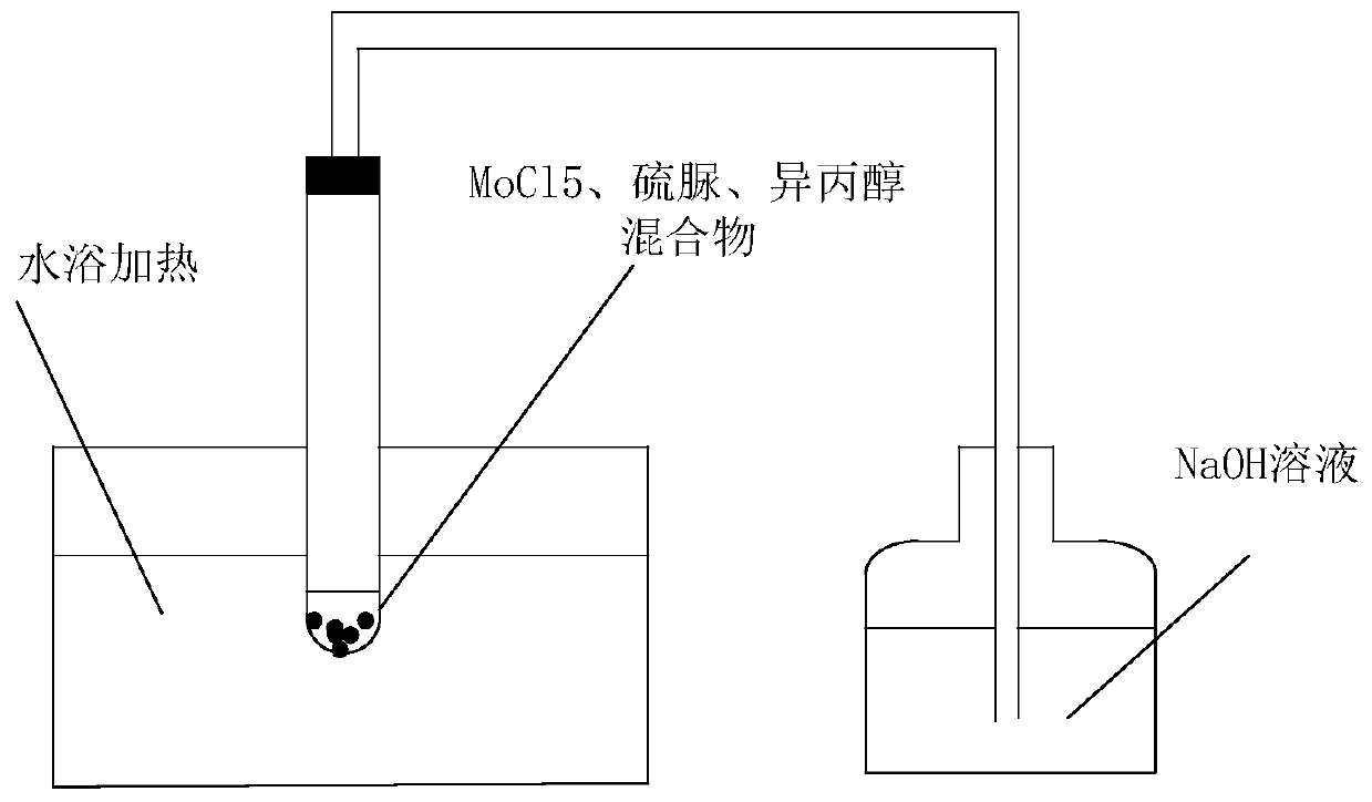 A two-dimensional transition metal chalcogenide thin film and its preparation method