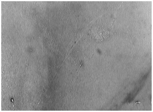 A two-dimensional transition metal chalcogenide thin film and its preparation method