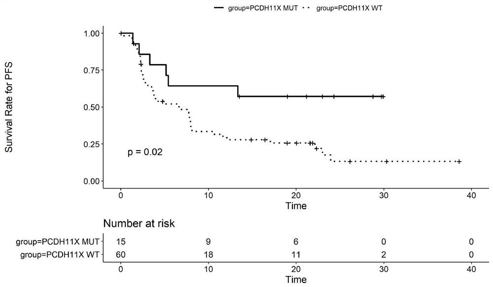 Application of PCDH11X mutation in predicting sensitivity of non-small cell lung cancer patient to immune checkpoint inhibitor therapy