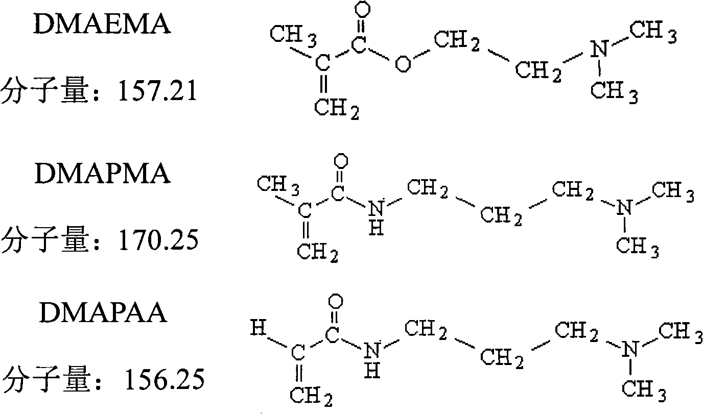 Ternary zwitterionic hair holding polymer for hair and preparation method thereof