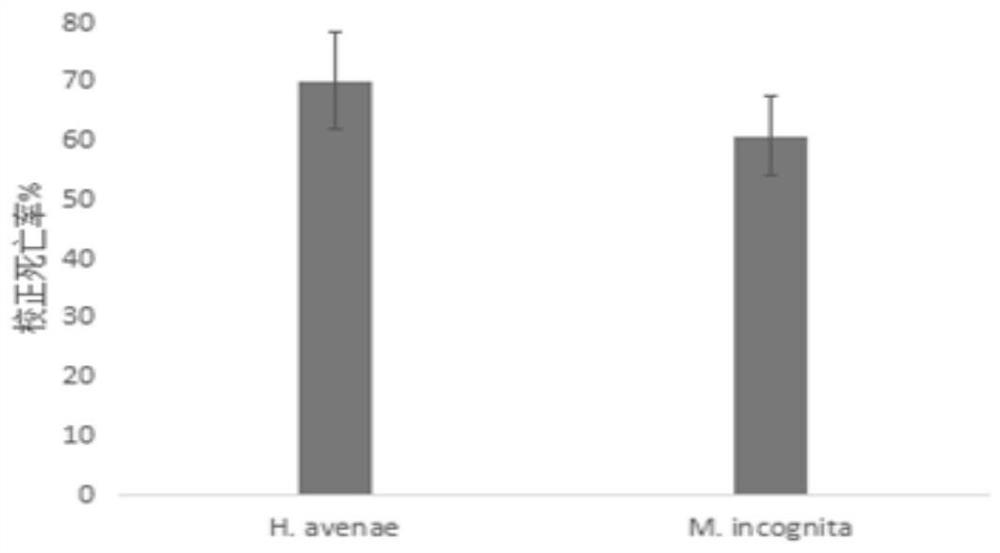 A strain of Bacillus cereus for controlling plant nematodes and its application