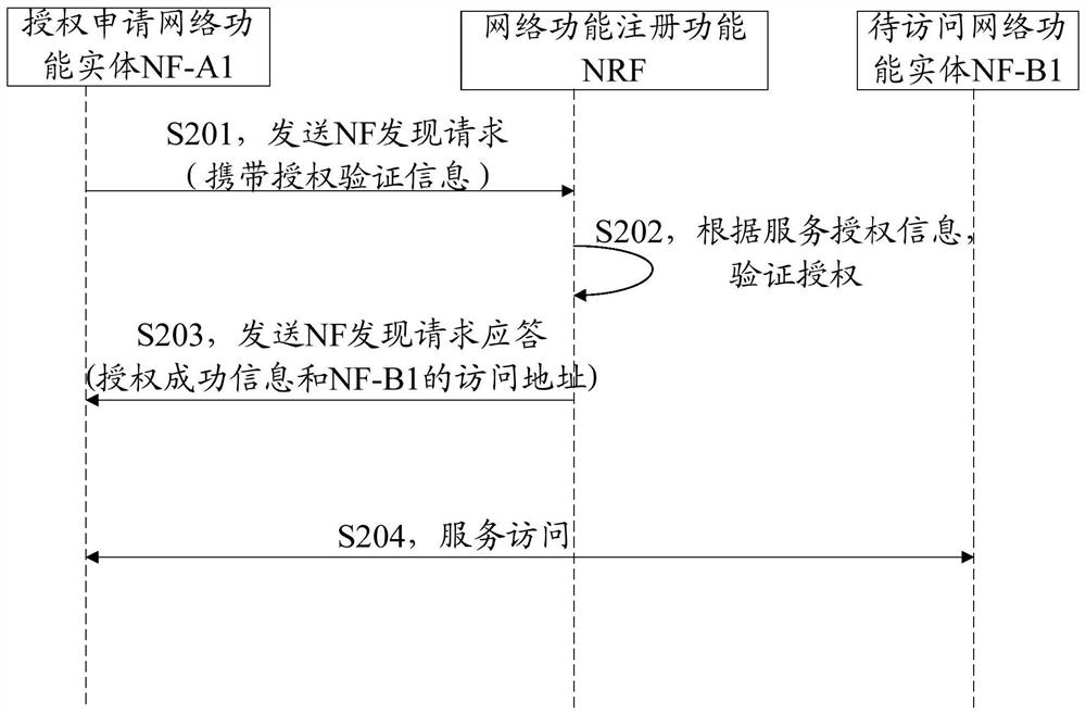 Network function authorization method, device, readable storage medium and physical device