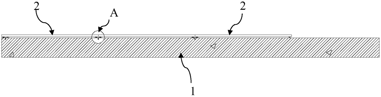 Veneer device and assembly method thereof
