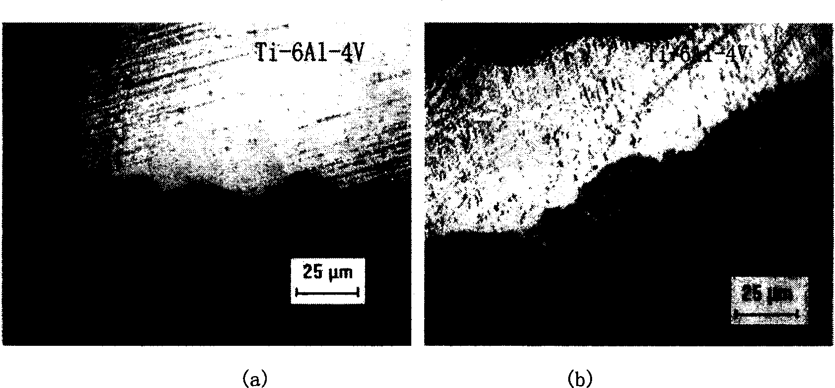 Preparing method for biological active peptide and titanium alloy hard tissue implanting material
