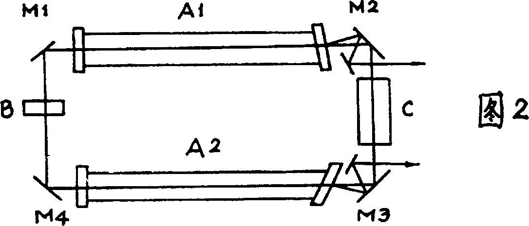 Ring-shape laser magnetometer